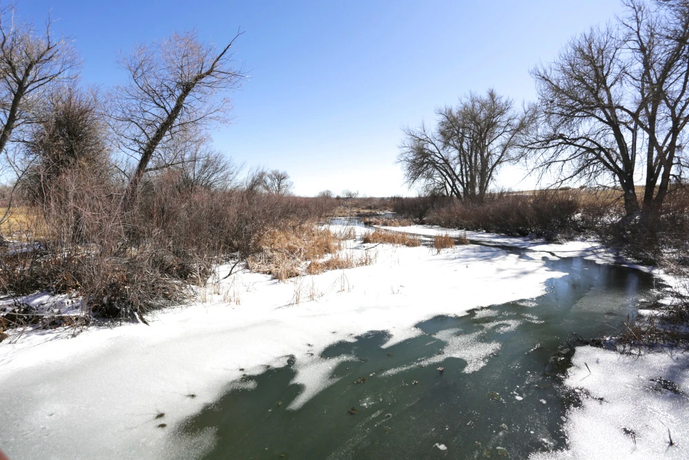 The South Platte River in Winter